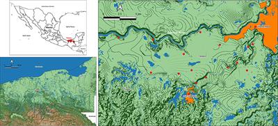 Exclusive Breastfeeding and Factors Influencing Its Abandonment During the 1st Month Postpartum Among Women From Semi-rural Communities in Southeast Mexico